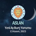 Aslan Burcu - Yeni Ay Yorumu 13 Kasım 2023
