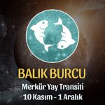 Balık Burcu - Merkür Yay Transiti Yorumu 10 Kasım 2023