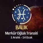 Balık Burcu - Merkür Yay Transiti Yorumu