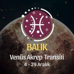 Balık Burcu - Venüs Akrep Transiti Yorumu