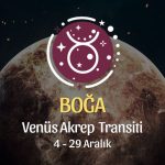 Boğa Burcu - Venüs Akrep Transiti Yorumu