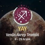 Yay Burcu - Venüs Akrep Transiti Yorumu