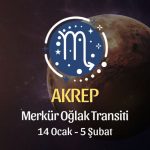 Akrep Burcu - Merkür Oğlak Transiti Burç Yorumu 14 Ocak 2024