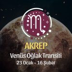 Akrep Burcu - Venüs Oğlak Transiti Yorumu 23 Ocak - 18 Şubat 2024