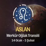 Aslan Burcu - Merkür Oğlak Transiti Burç Yorumu 14 Ocak 2024