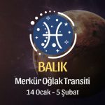 Balık Burcu - Merkür Oğlak Transiti Burç Yorumu 14 Ocak 2024