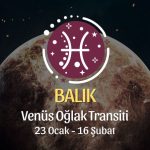 Balık Burcu - Venüs Oğlak Transiti Yorumu 23 Ocak - 18 Şubat 2024