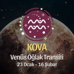 Kova Burcu - Venüs Oğlak Transiti Yorumu 23 Ocak - 18 Şubat 2024