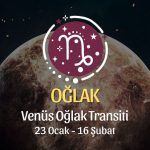 Oğlak Burcu - Venüs Oğlak Transiti Yorumu 23 Ocak - 18 Şubat 2024