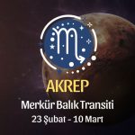 Akrep Burcu - Merkür Balık Transiti Burç Yorumu