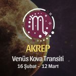 Akrep Burcu - Venüs Kova Transiti Yorumu