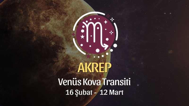 Akrep Burcu - Venüs Kova Transiti Yorumu