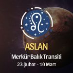 Aslan Burcu - Merkür Balık Transiti Burç Yorumu