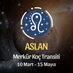 Aslan Burcu - Merkür Koç Transiti Burç Yorumu