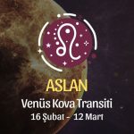 Aslan Burcu - Venüs Kova Transiti Yorumu