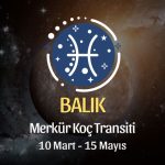 Balık Burcu - Merkür Koç Transiti Burç Yorumu