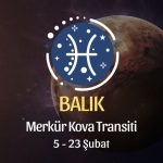 Balık Burcu - Merkür Kova Transiti Burç Yorumu