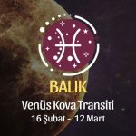 Balık Burcu - Venüs Kova Transiti Yorumu