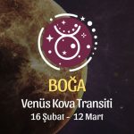 Boğa Burcu - Venüs Kova Transiti Yorumu