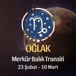 Oğlak Burcu - Merkür Balık Transiti Burç Yorumu