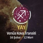 Yay Burcu - Venüs Kova Transiti Yorumu