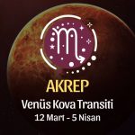 Akrep Burcu - Venüs Balık Transiti Yorumu , 12 Mart 2024