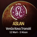 Aslan Burcu - Venüs Balık Transiti Yorumu , 12 Mart 2024