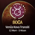 Boğa Burcu - Venüs Balık Transiti Yorumu , 12 Mart 2024