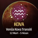 Kova Burcu - Venüs Balık Transiti Yorumu , 12 Mart 2024