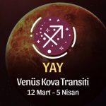 Yay Burcu - Venüs Balık Transiti Yorumu , 12 Mart 2024