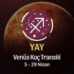 Yay Burcu - Venüs Koç Transiti Yorumu 5 Nisan 2024