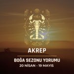 Akrep Burcu - 2024 Boğa Sezonu Yorumu