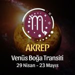 Akrep Burcu - Venüs Boğa Transiti Yorumu