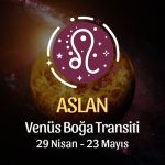 Aslan Burcu - Venüs Boğa Transiti Yorumu