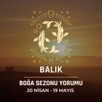 Balık Burcu - 2024 Boğa Sezonu Yorumu