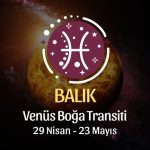 Balık Burcu - Venüs Boğa Transiti Yorumu