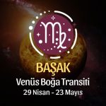 Başak Burcu - Venüs Boğa Transiti Yorumu