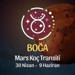 Boğa Burcu - Mars Koç Transiti Yorumu