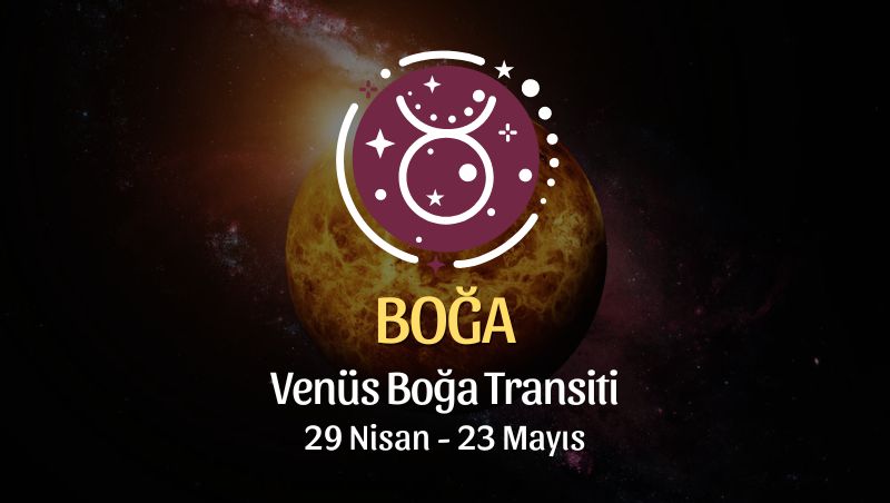 Boğa Burcu - Venüs Boğa Transiti Yorumu