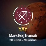 Yay Burcu - Mars Koç Transiti Yorumu