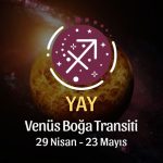 Yay Burcu - Venüs Boğa Transiti Yorumu