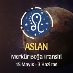 Aslan Burcu - Merkür Boğa Transiti Burç Yorumu