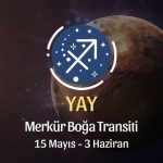 Yay Burcu - Merkür Boğa Transiti Burç Yorumu