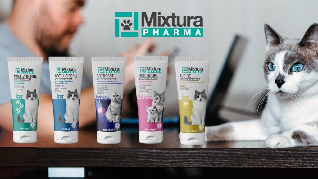 En İyi Kedi Maltı