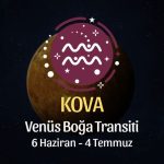 Kova Burcu: Venüs Boğa Transiti Yorumu - 6 Haziran, 2025