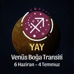 Yay Burcu: Venüs Boğa Transiti Yorumu - 6 Haziran, 2025