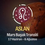 Aslan Burcu: Mars Başak Transiti Yorumu, 17 Haziran - 6 Ağustos