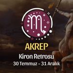 Akrep Burcu: Kiron Retrosu Burç Yorumu, 30 Temmuz - 31 Aralık