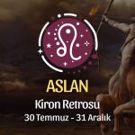 Aslan Burcu: Kiron Retrosu Burç Yorumu, 30 Temmuz - 31 Aralık