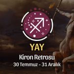 Yay Burcu: Kiron Retrosu Burç Yorumu, 30 Temmuz - 31 Aralık